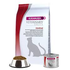 Is your cat suffering from this often silent but deadly disease? Gastrointestinal Cat Food Eukanuba
