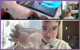 Bridges Academy Online Program Structure