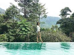 The dusun is an accommodation in negeri sembilan. 10 Secret Forest Resorts In Malaysia For A Relaxing Getaway