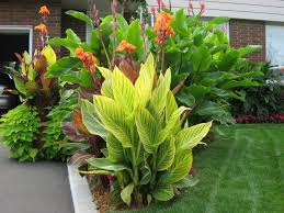 Pin By Diana Brieva On Backyard Tropical Garden Design Tropical Garden Garden Landscape Design