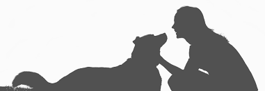 Clair chapel is located in the heart of st. Pet Cremation Services