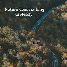 These quotes about the great outdoors will remind you just how beautiful the earth really is. 60 Nature Quotes To Celebrate Earth S Day And Appreciate Its Beauty