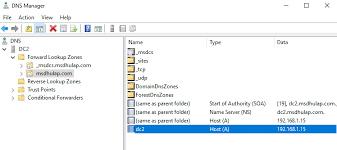 Configuring Dns Reverse Lookup On Windows Server 2019 Reverse Lookup Windows Server Dns