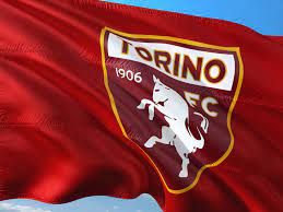 Tutte le notizie in tempo reale sul torino fc provenienti dai più importanti networks nazionali. Il Torino Calcio