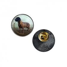 Image result for hannoverský barvář