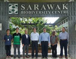 Sarawak oil palms berhad (sopb) is a malaysian public company listed on the bursa malaysia (formerly known as the kuala lumpur stock exchange). Today We Welcome Mr Motoki Sarawak Biodiversity Centre Facebook