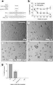 We did not find results for: Fhl 1 Interacts With Human Rpe Cells Through The A5b1 Integrin And Confers Protection Against Oxidative Stress Scientific Reports