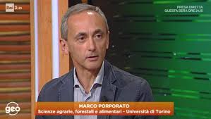 Ricette con i legumi geo 19 06 2018 youtube. La Vespa Velutina Atterra A Geo Geo Www Vespavelutina Eu News