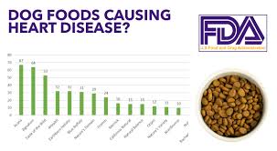 Breaking News Fda Releases List Of Dog Food Brands