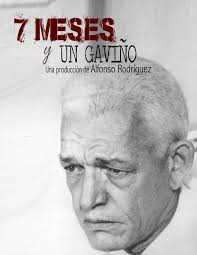 Alfonso Rodríguez anuncia el estreno de “7 meses y un Gaviño” por  Telesistema 11