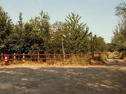 Plymouth, massachusetts, was one of the 102 passengers on the mayflower of 1621. James Cooke Wood Witham 2021 All You Need To Know Before You Go With Photos Witham Uk Tripadvisor