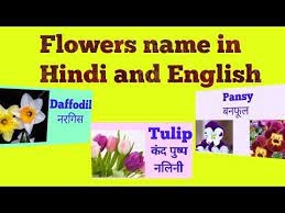 Flowersnameinhindiandenglish How To Teachf Flowers To Preschoolers Nurserysyllabus Youtube Flowers Name In Hindi Flowers Preschool