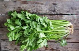 Description for projek tanam daun saderi 6. Daun Saderi Vs Daun Sup