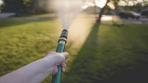 A few green rules of thumb apply when learning how to water a lawn: Hand Water Wisely Garden Style San Antonio