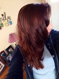 From highlighted dark brown hair to deep, rich raven shades, there's a shade of dark brown that goes with every skin tone. Pin By Laney Ribota On My Style Age Beautiful Hair Color Dark Red Hair Color Straight Brunette Hair