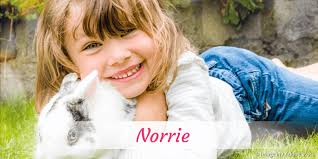 Bill norrie, a canadian politician. Vorname Norrie Beliebtheit Bedeutung Mehr