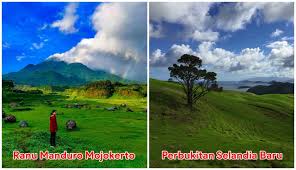 Banyak tempat juga sudah diberi nafas baru dengan penambahan beberapa pusat pelancongan terbaru. 5 Wisata Di Indonesia Yang Suasananya Mirip Luar Negeri Ada Selandia Baru Di Mojokerto Boombastis