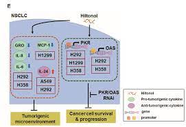 IJMS | Free Full-Text | Hiltonol Cocktail Kills Lung Cancer Cells by  Activating Cancer-Suppressors, PKR/OAS, and Restraining the Tumor  Microenvironment
