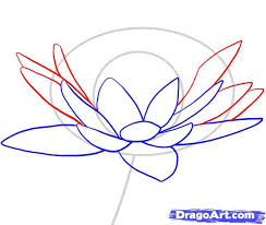 How To Draw A Water Lily Step 4 Lilies Drawing Flower Drawing Lily Painting
