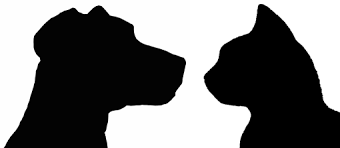 3 Month Old Babies Can Tell The Difference Between Dogs And Cats Poc Cat Silhouette Dog Outline Silhouette