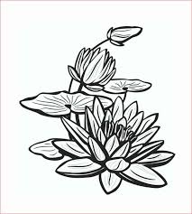 Maybe you would like to learn more about one of these? 49 Gambar Sketsa Bunga Matahari Mawar Tulip Sederhana