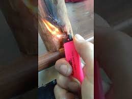 Istilah pokok kayu apa artinya? Bakar Raja Kayu Merah 3 Youtube