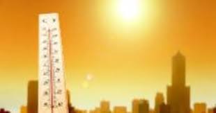 الفيرتسيليومى مع انخفاض درجات الحرارة. Ø­Ø§Ù„Ø© Ø§Ù„Ø·Ù‚Ø³ Ø§Ù„ÙŠÙˆÙ… Ø§Ù„Ø£Ø­Ø¯ 8 11 2020 ÙÙ‰ Ù…ØµØ± Ø§Ù„ÙŠÙˆÙ… Ø§Ù„Ø³Ø§Ø¨Ø¹