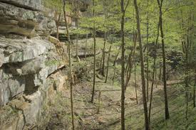 hiking cedar sink trail in mammoth cave