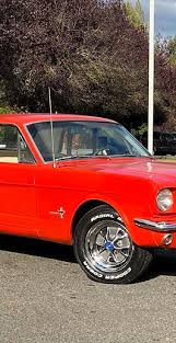 Image result for Poppy Red 1964 Mustang