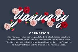 Birthday Flowers The Complete Guide Of Birth Month Flowers Proflowers January Birth Flowers Birth Month Flowers Birthday Flowers