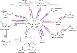 Glycerol To Value-Added Chemicals: State Of The Art And Advances In  Reaction Engineering And Kinetic Modelling - Sciencedirect