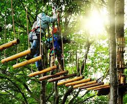 See 2,361 reviews, articles, and 1,683 photos of escape theme park, ranked no.1 on tripadvisor among 6 attractions in teluk bahang. Penang Escape Theme Park Teluk Bahang Outdoor Adventure Adventure Guide Penang