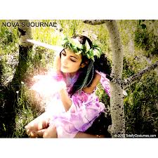 Buy online top discount purple fairy costume ideas with fast & free delivery to u.s., united kingdom, canada, australia, and europe at сostumy store. Spotlight Purple Fairy Sexy Adult Costume Nova S Journal Blog From Totallycostumes Com