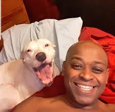 Honoring a beloved pet's memory