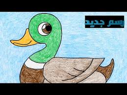 تعليم رسم بطة بخطوات سهلة Youtube