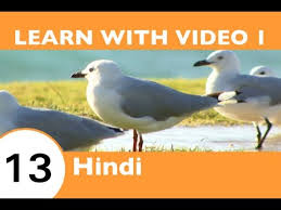 Birds Of A Feather Flock Together Meaning In Tamil Learn Hindi With Video Birds Of A Feather Flock Together At Hindipod101 Com Youtube
