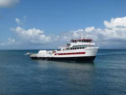 Guide To Vieques Island Ferry Services And Schedule Isla De Vieques Puerto Rico Puerto Rico Trip Vieques Puerto Rico
