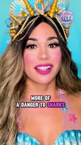 Understanding the Truth About Sharks and Humans