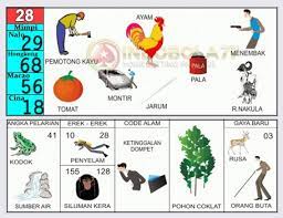 78 Gambar Ayam Togel Paling Keren Infobaru