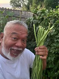 Beautiful set for your garden