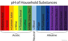 Baking Soda Vs Washing Soda Which Is Right Washing Soda Vinegar Cleaning Homemade Cleaning Products