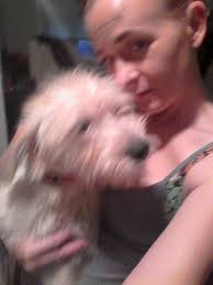 Lost black terrier in Lake/woodland area