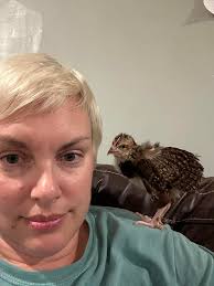 Scruffy with a fine meal for his chicks