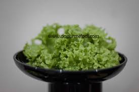 Selada green romaine dan sawi dakota hidroponik. Jus Selada Kristine Dan Butterhead