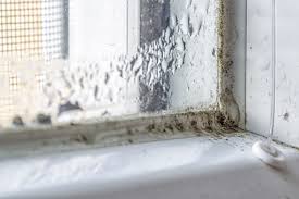 how to remove mildew or mold from gl