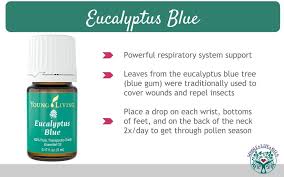 How To Use Essential Oils To Survive Spring And Pollen Season Webinar Notes My Merry Messy Life Essential Oils Wellness Young Essential Oils Living Essentials Oils