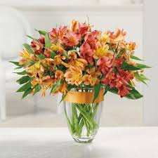 Maybe you would like to learn more about one of these? Awesome Alstromeria Phoenix Florist Baseline Flowers Local Flower Delivery Phoenix Az 85042