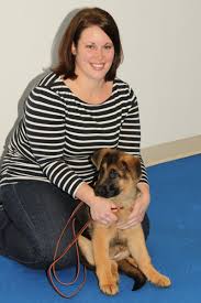 Maybe you would like to learn more about one of these? Akc Certified S T A R Puppy Program Private Puppy Prep School Dog Training Massachusetts Auntie Dog