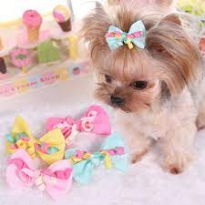 5pcs Dog Grooming Bows Yorkie Pet Puppy Dog Hair Clips Lot Accesorios Horquillas Ebay Dog Hair Bows Cute Puppies Cute Animals