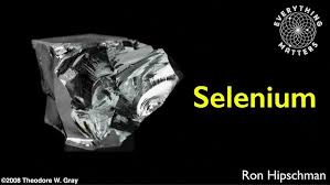 Image result for Selenium